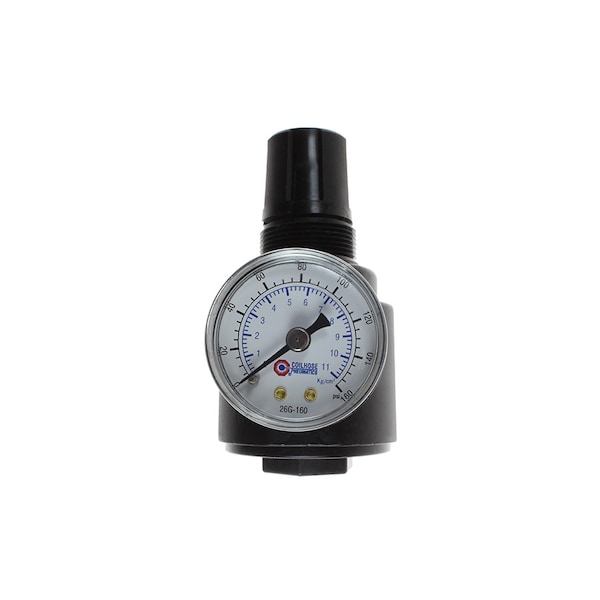 1/4" Regulator w/Gauge